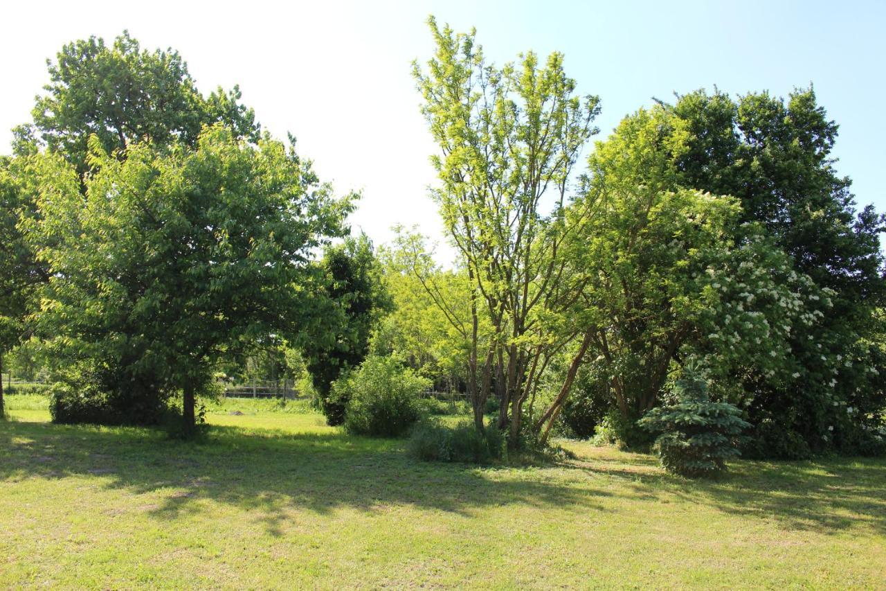 Axtburg Apartments Berbaltavar Екстер'єр фото