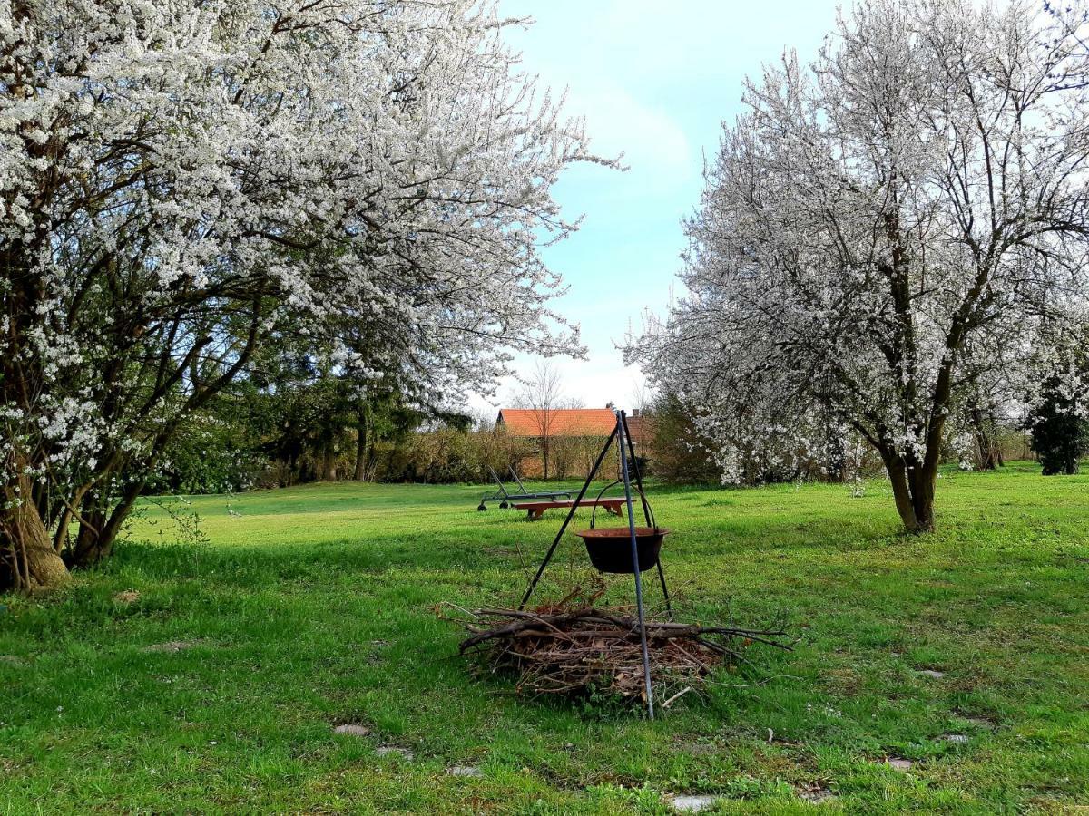 Axtburg Apartments Berbaltavar Екстер'єр фото